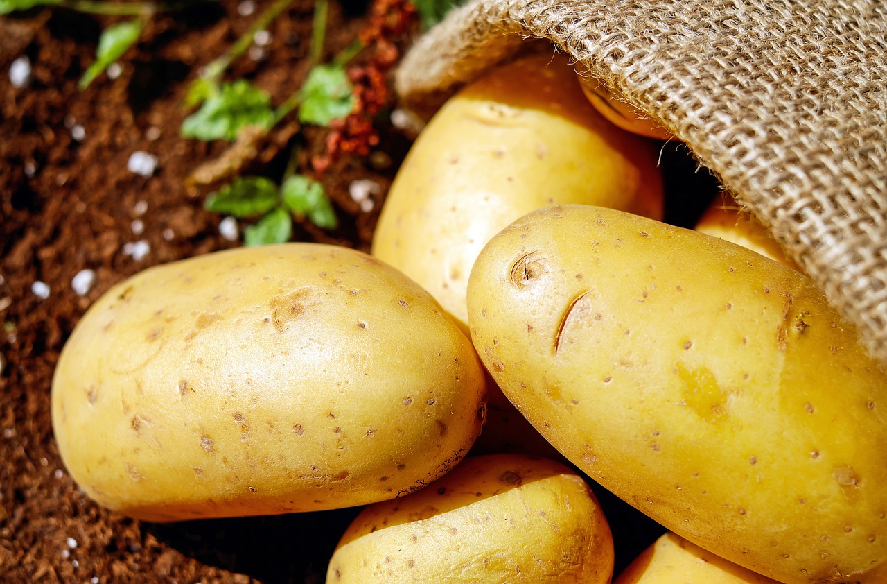 potatoes, vegetable, food, harvest, potato sack, root vegetable, edible, produce, organic, natural, potatoes, potatoes, potatoes, potatoes, potatoes, vegetable